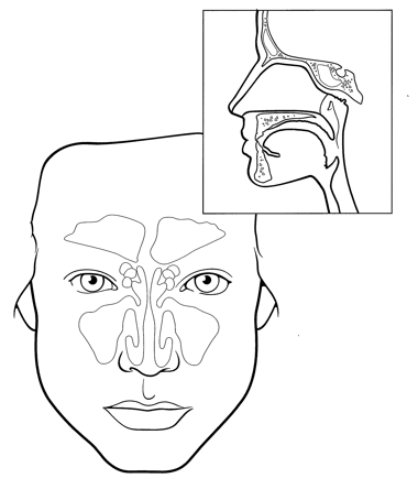 耳鼻咽喉科で診察を受ける患者さんのイメージ写真