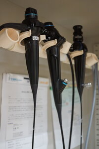 鼻内視鏡検査のイメージ図